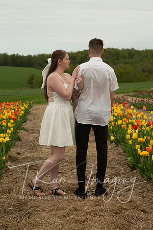 IMG_3786_1