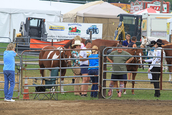 IMG_0009 (3)