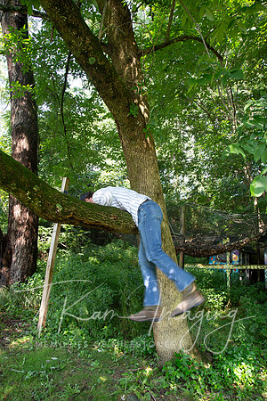 IMG_0981